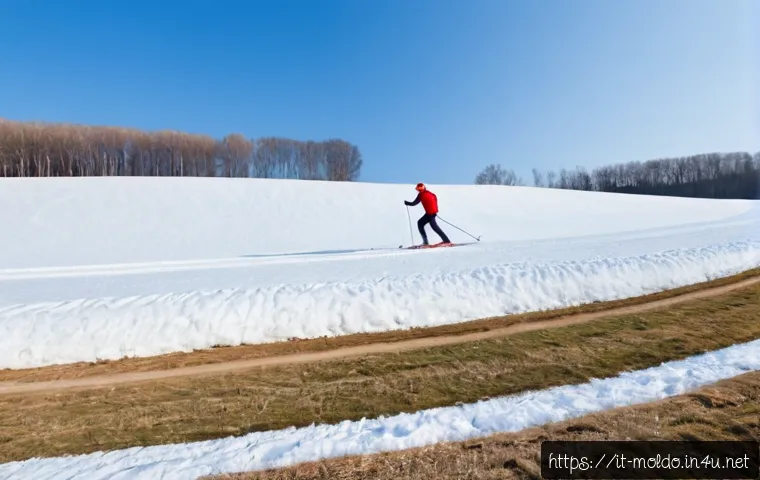 Home 13 몰도바의 겨울 스포츠 - Photorealistic winter cross-country skiing scene in Moldova, a lone adult skier in modern navy and r...
